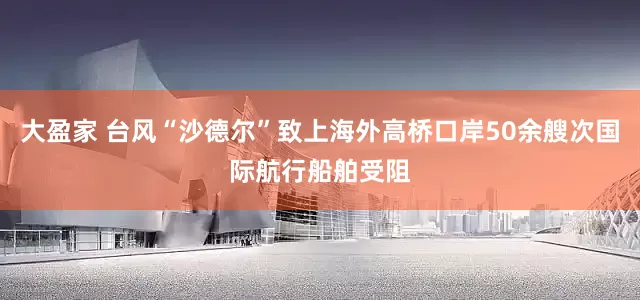大盈家 台风“沙德尔”致上海外高桥口岸50余艘次国际航行船舶受阻